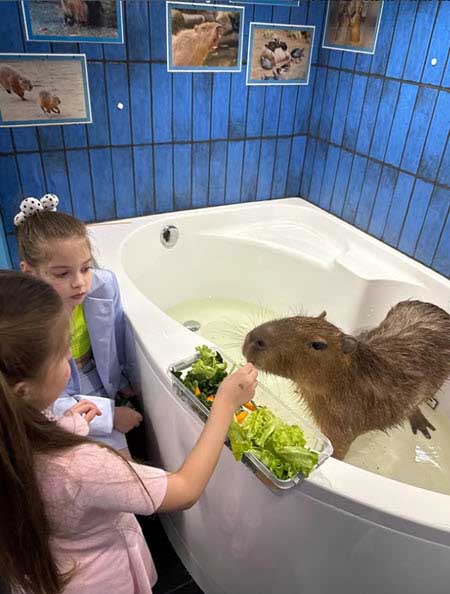 Ольге Рапунцель исполнилось 39, ее старшей дочери Василисе 8 лет