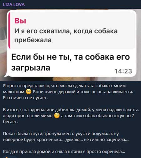 Лизу Полыгалову покусала бродячая собака