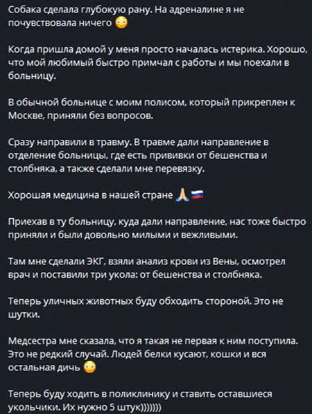 Лизу Полыгалову покусала бродячая собака
