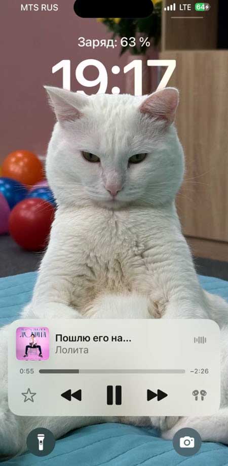Лиза Субботина и Никита Максимов расстались за периметром