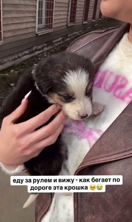 Катя Скалон приютила бездомного щенка