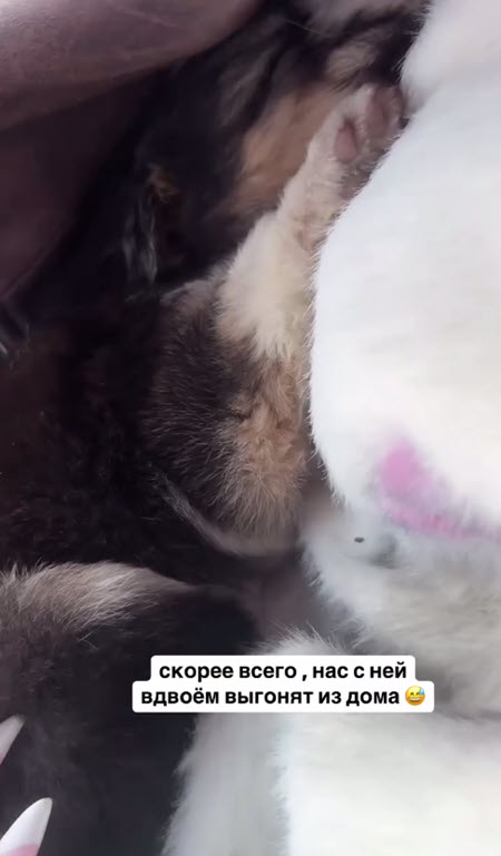 Катя Скалон приютила бездомного щенка