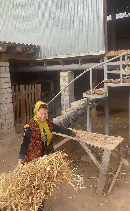 Аня и Максим Евстроповы теперь живут в Узбекистане