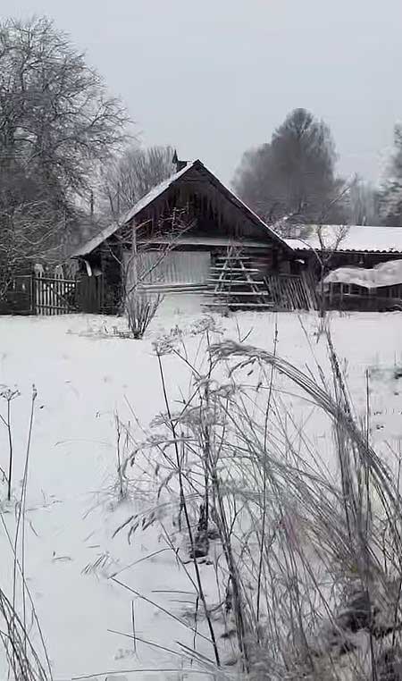 Клава Безверхова купила дом и познакомилась с мамой своего парня