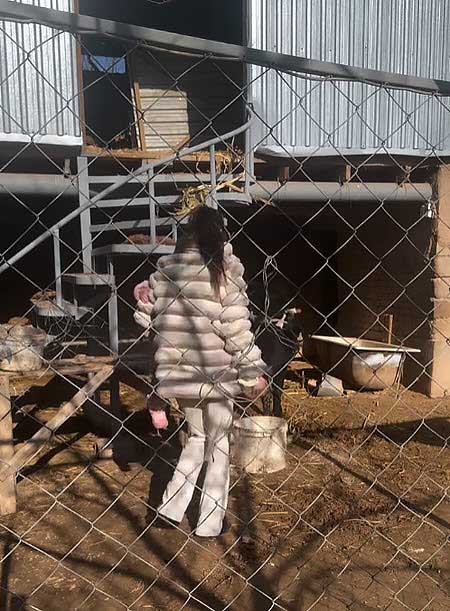 Максим Евстропов потребовал от Ани заключить с ним брачный договор