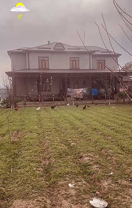 Максим Евстропов потребовал от Ани заключить с ним брачный договор