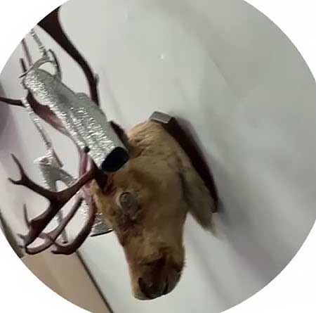 «Тигрица» Вероника приготовила сюрприз бывшему и Ксении после возвращения их из Беларуси