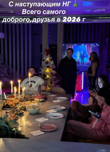 Встреча нового года на поляне