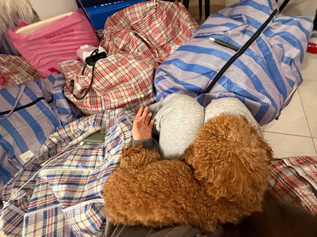 С проекта ушли Игорь Григорьев и Екатерина Квашникова