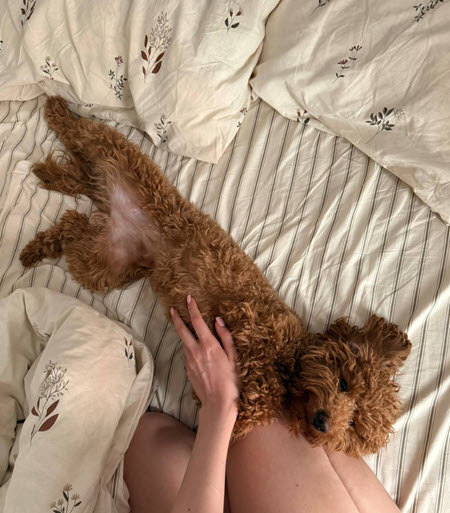 С проекта ушли Игорь Григорьев и Екатерина Квашникова