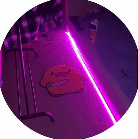 Тигран играет в нарды с портретом Григорьева, а Леончик ищет по дому Оливку