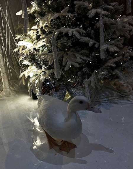 Новенькая Соня Гриневская и ее «доча»