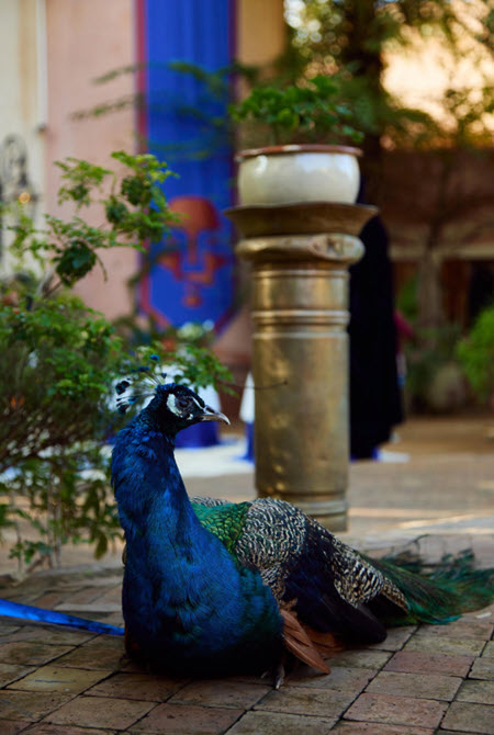 Участниками шоу «Мастер игры» стали два мужа Ксении Бородиной, нынешний и бывший