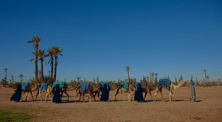 Участниками шоу «Мастер игры» стали два мужа Ксении Бородиной, нынешний и бывший