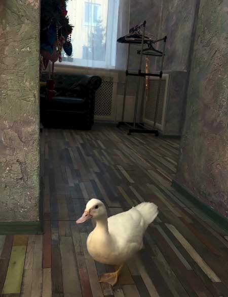 Соня Гриневская: «Все, кто присутствуют на этом проекте - лютые пи_ &_ даболы с умением красиво всё выворачивать в свою пользу»