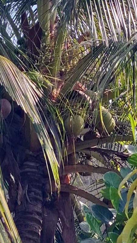 Гуранда, Рахимова и Граковичи отправились покорять Китай