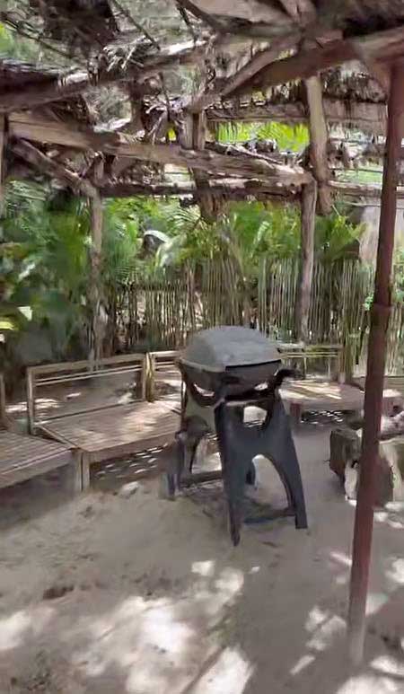 Ирина Александровна Агибалова на Сейшелах - «Остров любви» проекта Дом 2 в апреле 2026