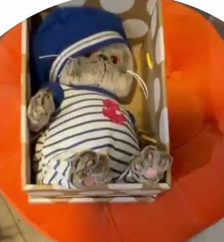 У Кристины Лясковец ДР, ее поклонник Никита Гуранда устроил девушке сюрприз